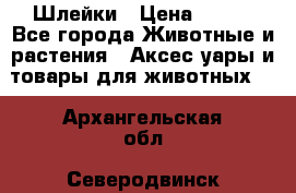 Шлейки › Цена ­ 800 - Все города Животные и растения » Аксесcуары и товары для животных   . Архангельская обл.,Северодвинск г.